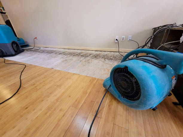Professional Flood Damage Cleanup technician working in Staples, TX